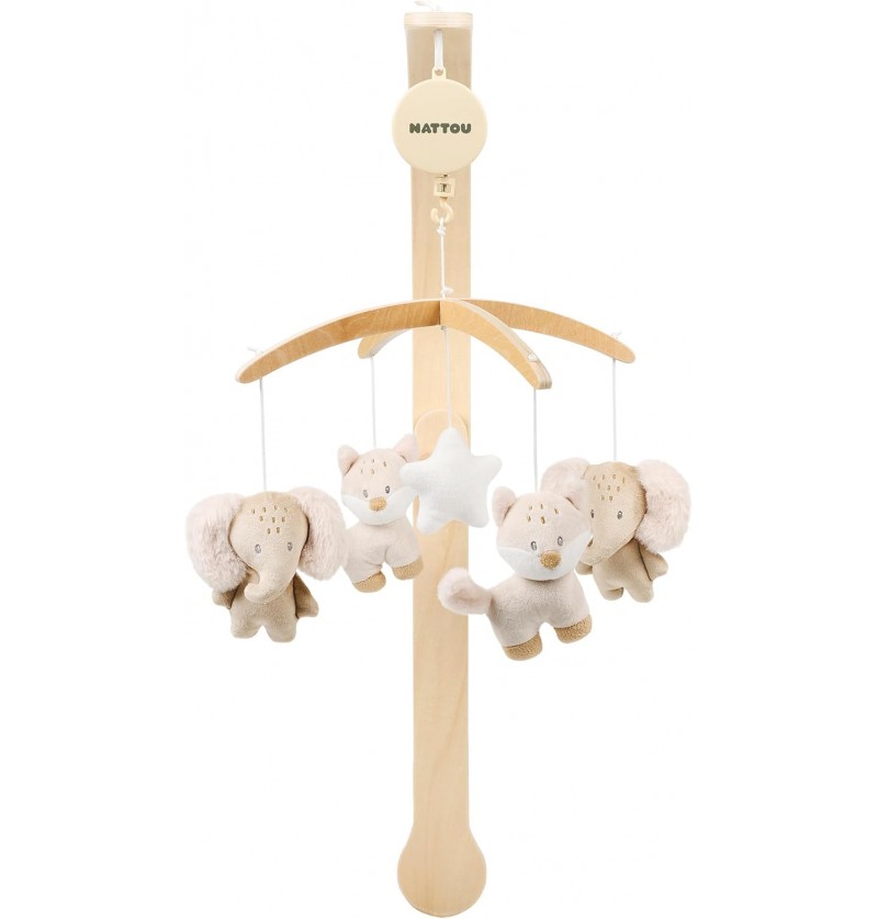 copy of Nattou Giostrina in...